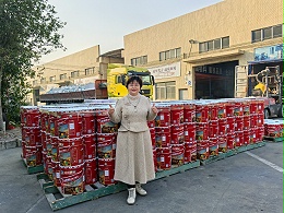 定制化破局非洲市场，立镁家32吨真石漆出海尼日利亚！